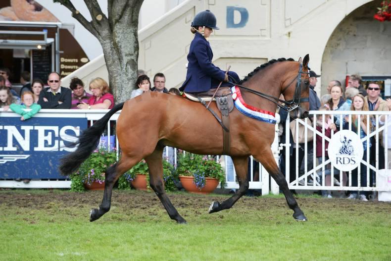 Horse Sense: Three things we secretly wonder about side saddle