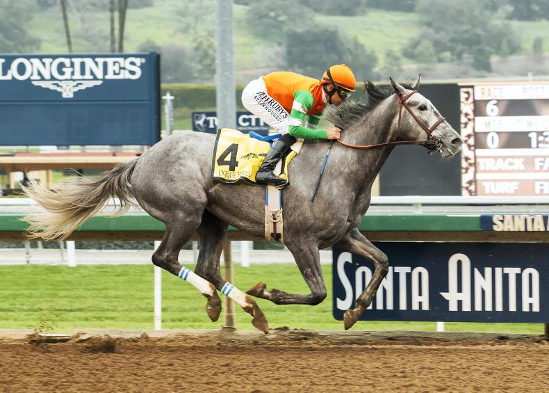 AMERICA: Unique Bella lives up to hype