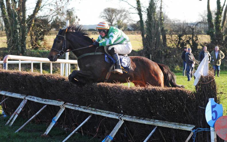 ON THE SPOT: Ray Cody          