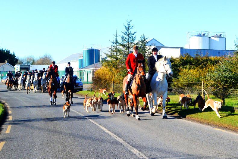 HUNTING:  Hound-work at its best
