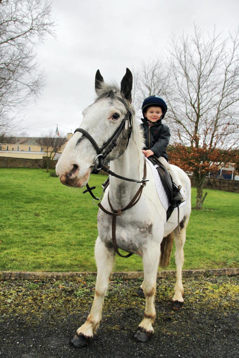 PICTURE DESK: Action from the field 