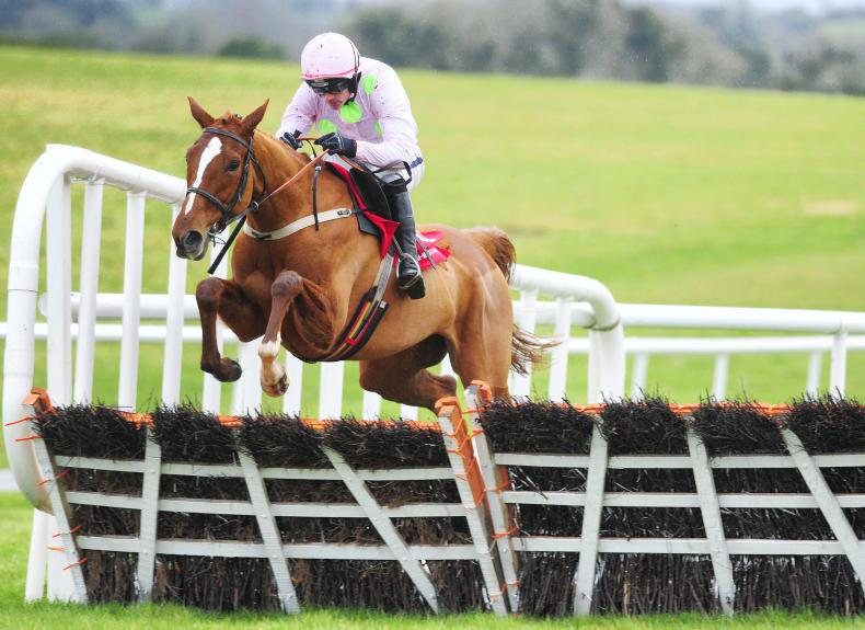 Willie Mullins to consider Champion Hurdle assault with Limini