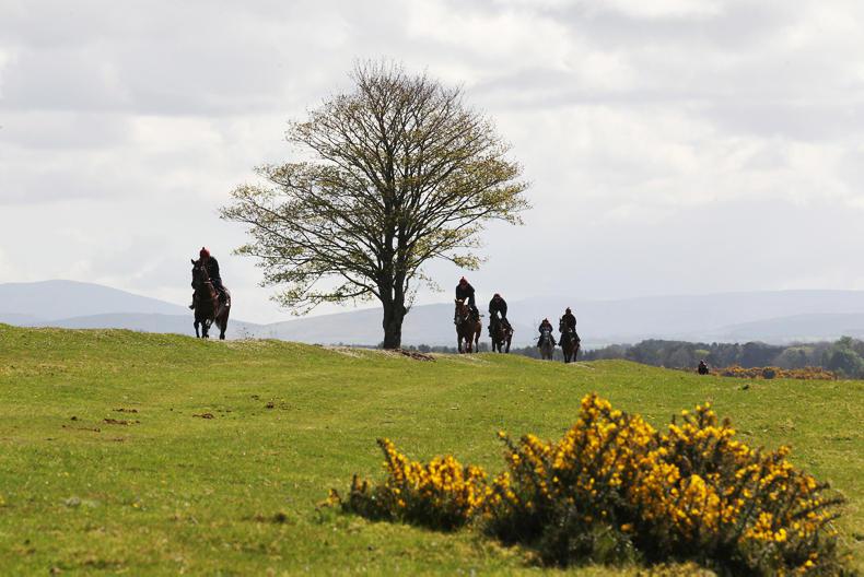 RACE UPDATE: Calling all young racing enthusiasts