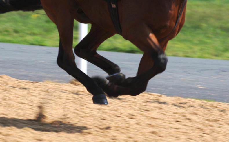 RACE UPDATE: Keane appointed sales and marketing manager