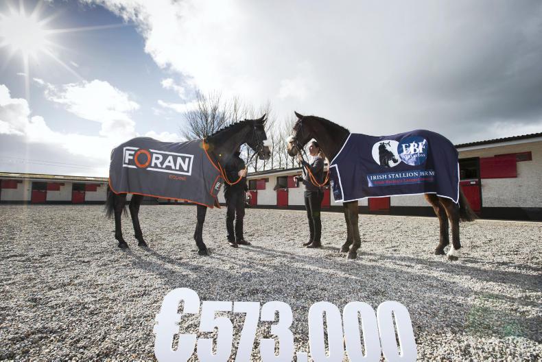 Foran Equine and Irish European Breeders' fund to sponsor auction 