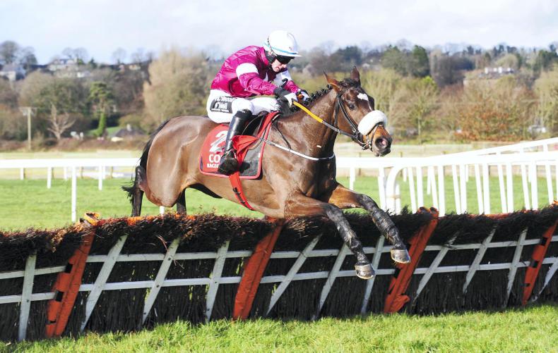 PEDIGREE NOTES: Some notable recent breeding results