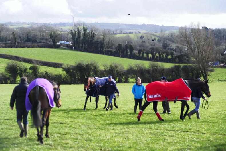 PICTURE DESK: Racing round-up 