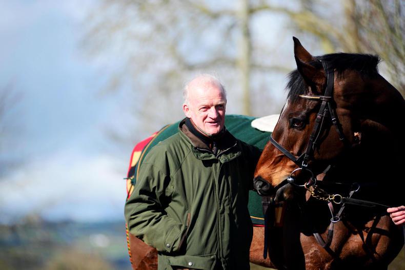 TALKING TRAINER: Willie Mullins
