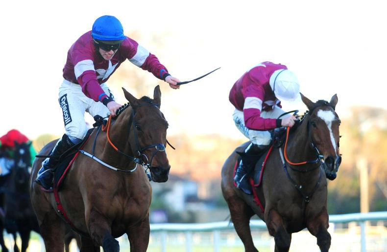 Last year's third Don Poli ruled out of Cheltenham Gold Cup