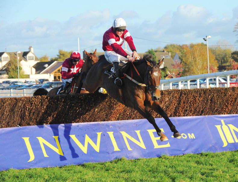 CHELTENHAM 2017 RORY DELARGY: Mouchoir and Lieutenant to jump to victory