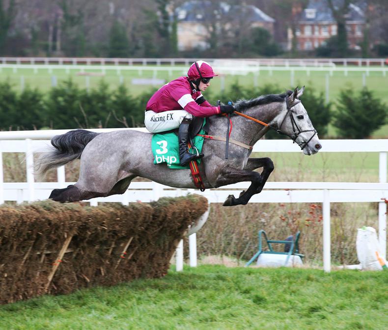 CHELTENHAM 2017 SIMON ROWLANDS: Petit Mouchoir could lead from the front