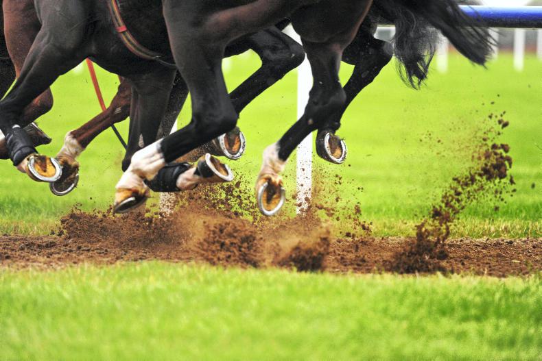 JAPAN: Karakurenai steps into group company 