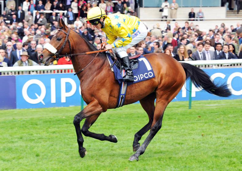 SALES PREVIEW: Irish hopefuls at Ascot Breeze-Up