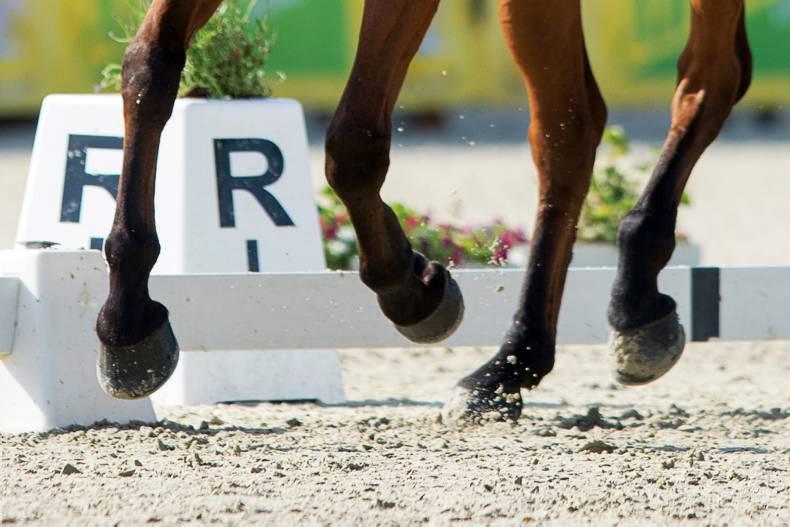 AROUND THE COUNTRY:  Dressage interest continues to rocket