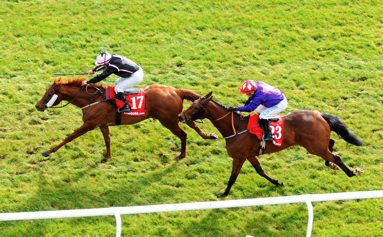 TALKING TRAINERS: Gearing up for the flat