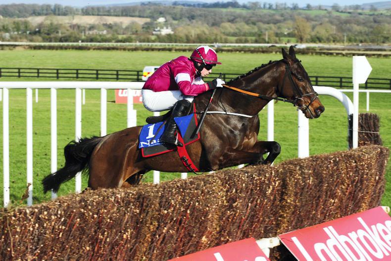 FAIRYHOUSE SUNDAY: Ball D’Arc to continue industrious season