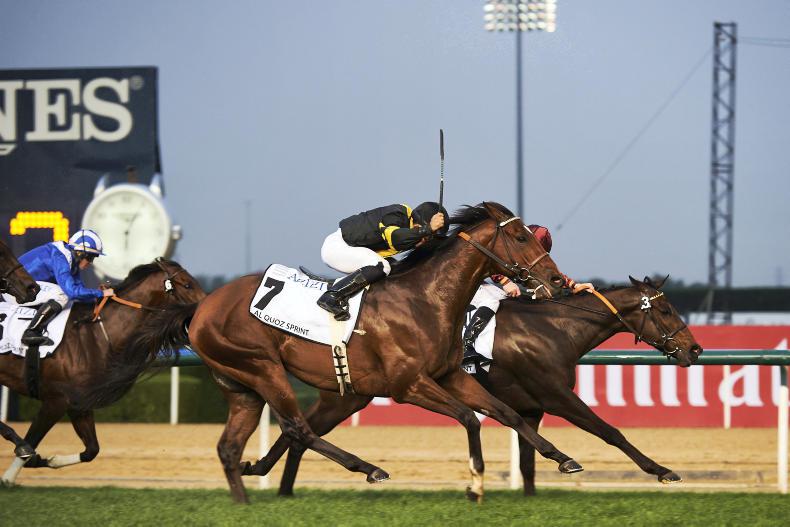 Lope De Vega's son is The Right Man