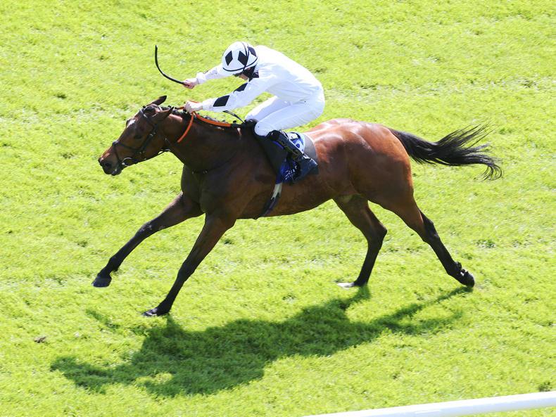 Downforce blows opposition away at Cork