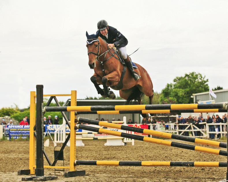 STALLIONS 2017:  In the breeding barn