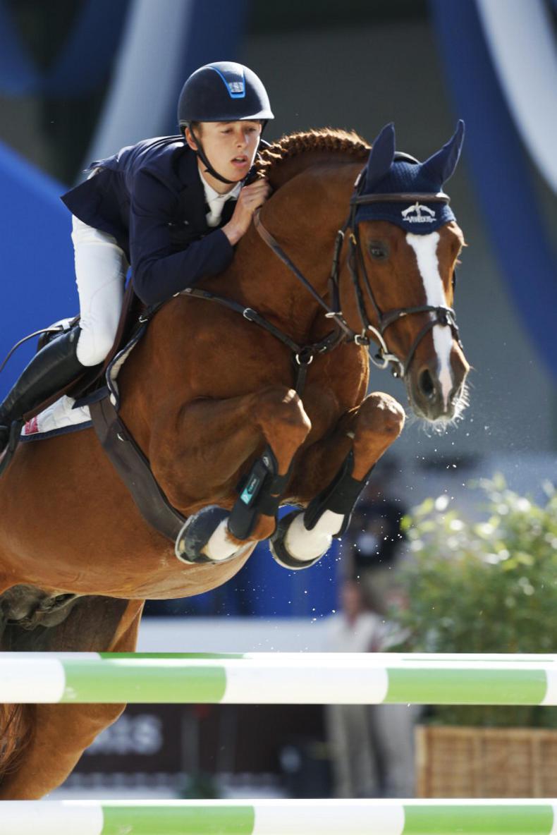 STALLIONS 2017:   Breeders onto a winner with The Stallion Company