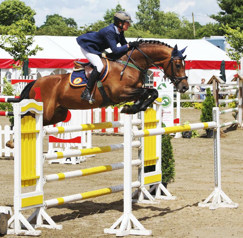 STALLIONS 2017: Let the season begin at Bridge House Stud 