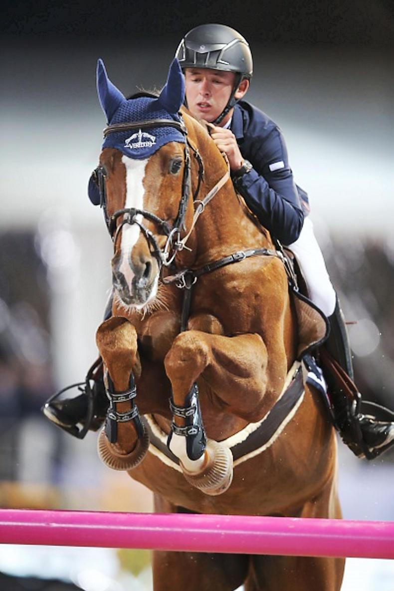 STALLIONS GUIDE 2017:  Top sires at your fingertips