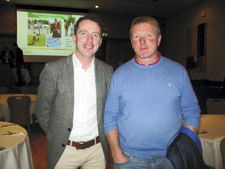 STALLIONS 2017:  Think outside the box 