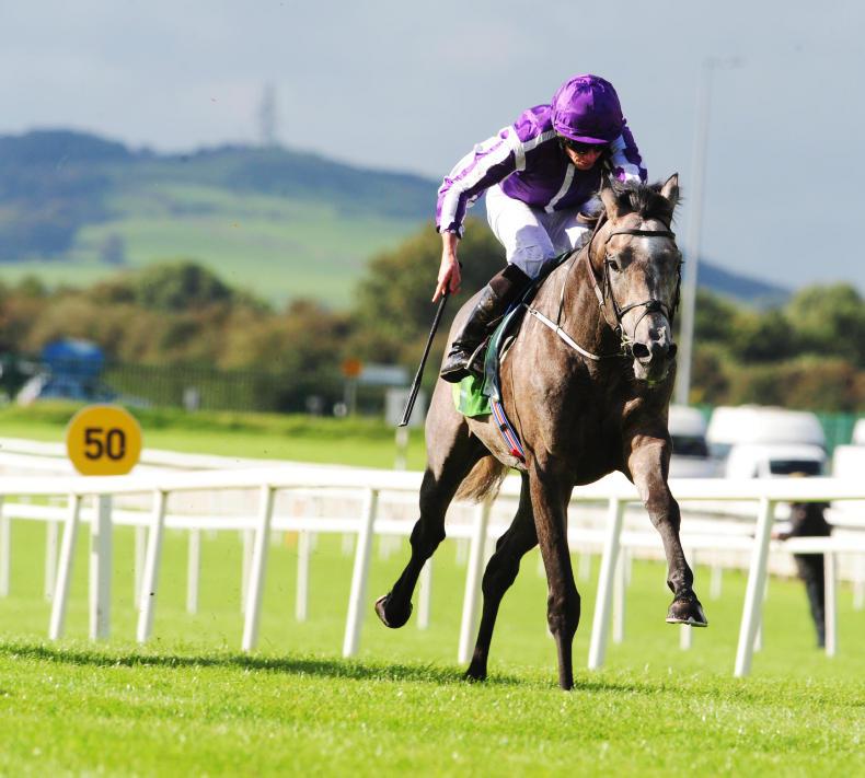 Capri gets into gear for potential Ballysax return