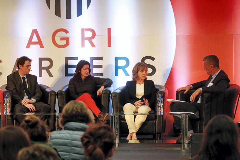 HORSE SENSE: Making dreams a reality