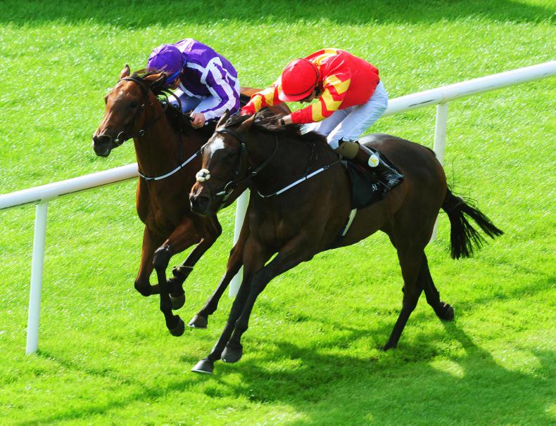 Orderofthegarter lays down the law in 2000 Guineas Trial