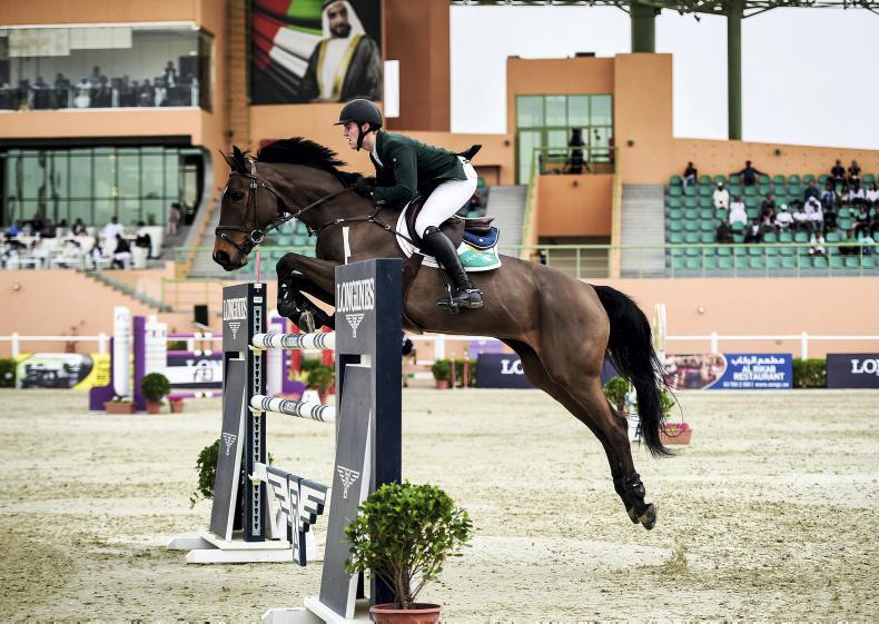 Pessoa names Irish squad for Lummen