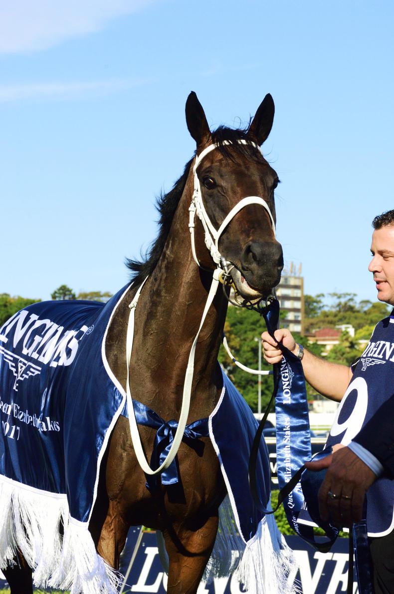 SIMON ROWLANDS: Winx needs overseas challenge