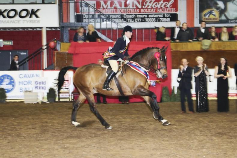 N.I. FESTIVAL PREVIEW:  Showing fans are set for Festival