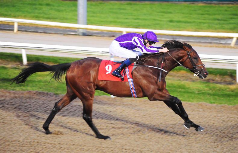 War wins the battle for Listed honours as O'Brien enjoys treble