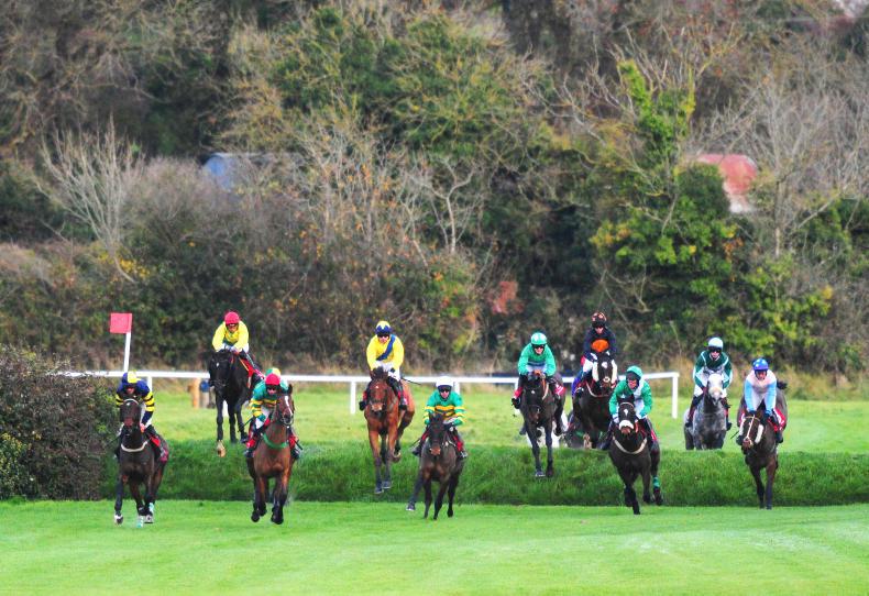 'I hope that racegoers will be impressed'