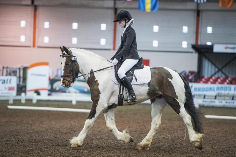 AROUND THE COUNTRY: Blazing a new trail 