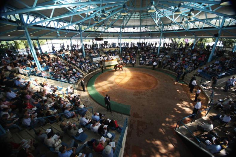 AUSTRALIA: Fastnet Rock mare takes top spot 