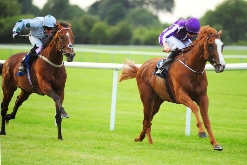 AUSTRALIA: Racing across the Sydney Harbour Bridge?
