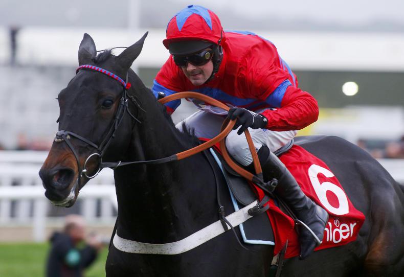 Sprinter on show at Punchestown