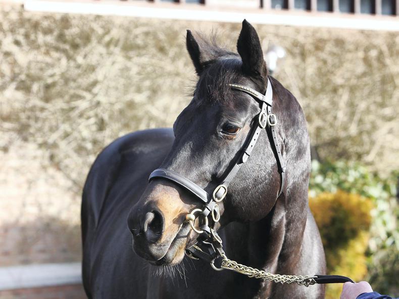 Cape Cross is put down           