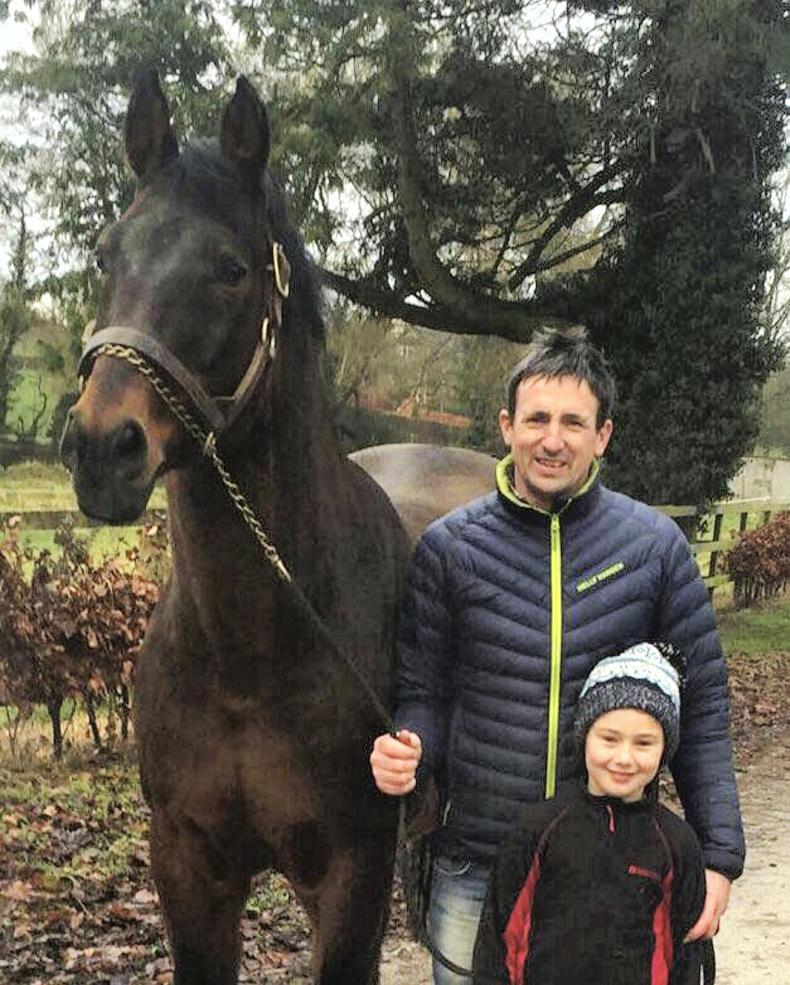 ADVERTORIAL:  The future is bright at Coolballyshan Stud 