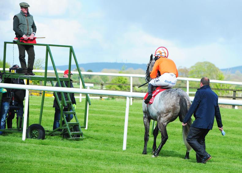 PUNCHESTOWN FESTIVAL 2017: Thrills and spills 