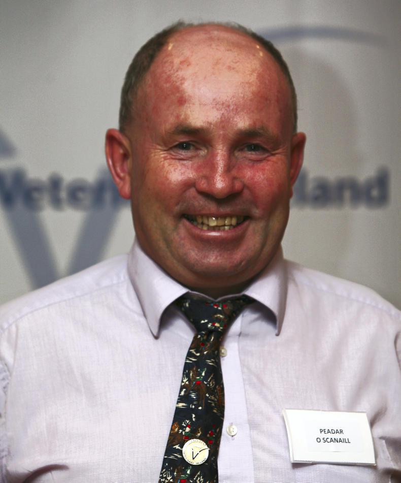 HARNESS RACING: A massive step forward in drug testing