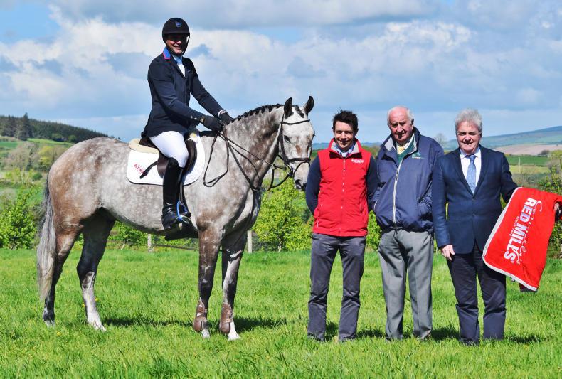 NEWS:  Show jumping action at Ballylawn 