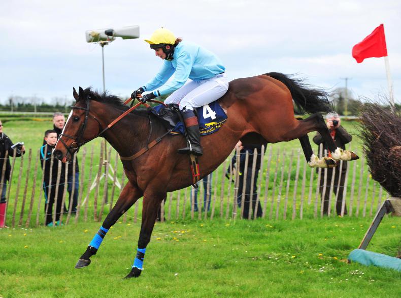 FAIRYHOUSE SUNDAY: Rosc Catha puts Larkin back in front