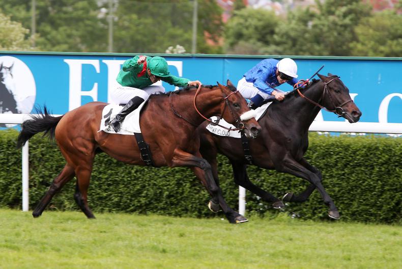 FRANCE: Epsom and Ascot possible targets for Cloth Of Stars