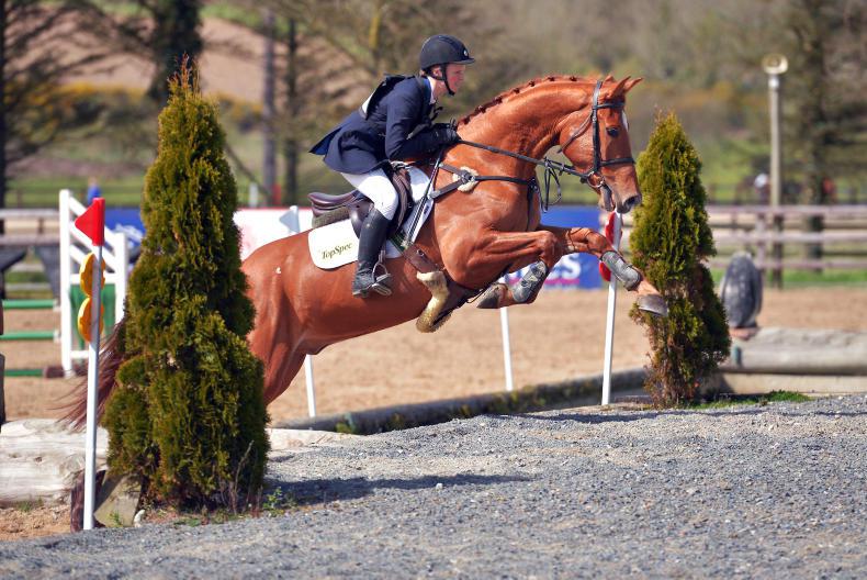 BALMORAL PREVIEW: Increased entries for Balmoral Show