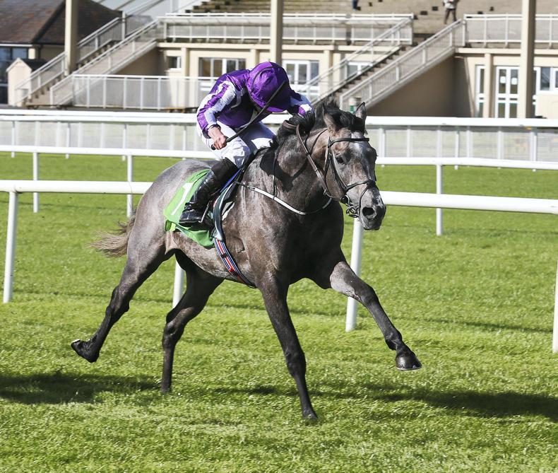 LEOPARDSTOWN SUNDAY: Capri can make up ground