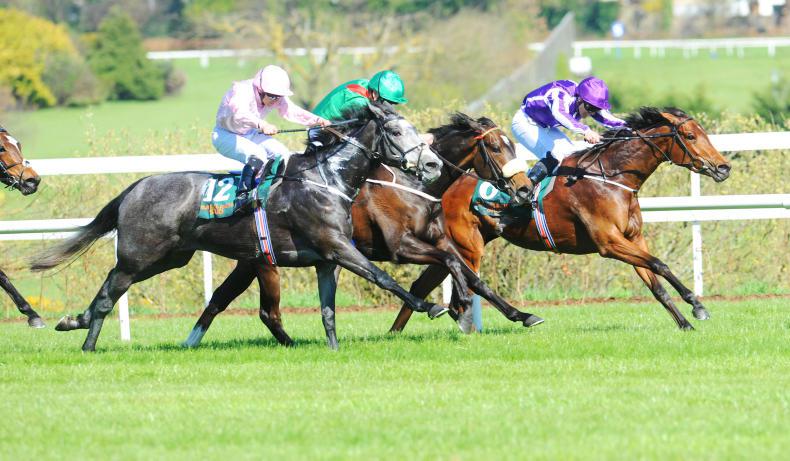 BRITISH PREVIEW: Barney best in Guineas battle