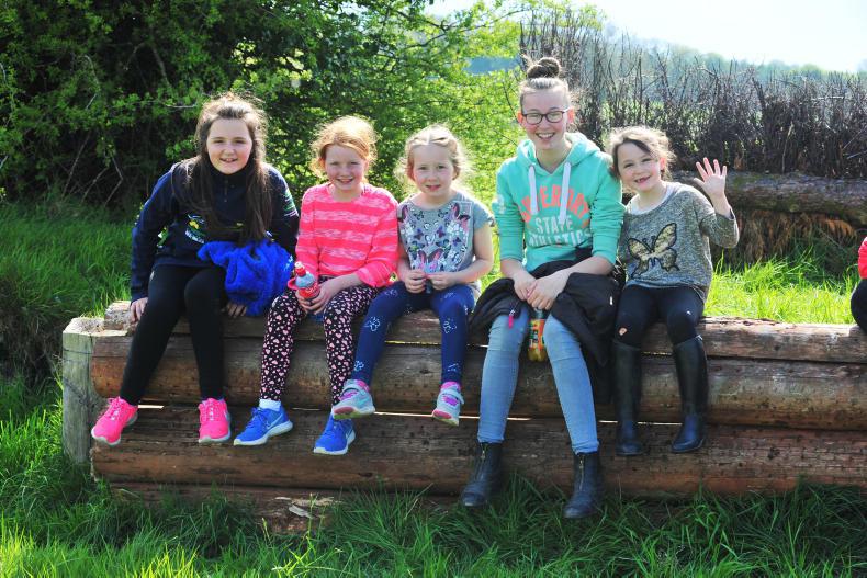 PICTURE DESK: A sun filled weekend